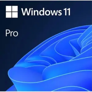 MICROSOFT OEM WINDOWS 11 PROFESIONAL 64 BITS ESPAÑOL LATAM 1 PK DSP DVD SUST WIN 10 PRO
