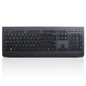 Teclado Lenovo Professional Inalámbrico en Español Color Negro