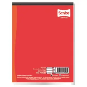 Block Pegado Scribe Profesional C7 Cuadro Grande 80 Hojas