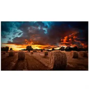 Pantalla Samsung 46" Video Wall VW FHD Resolución 1920x1080 Tizen 4.0