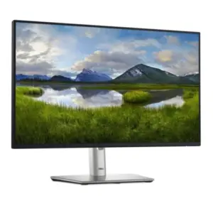 Monitor Dell 23.8" P2425HE FHD Panel IPS 100Hz HDMI/DP/USB-C/RJ45 Garantía 3 Años