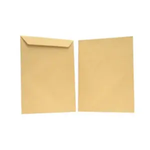 SOBRE MAPASA BOLSA PANUCO 60K CARTA C/500