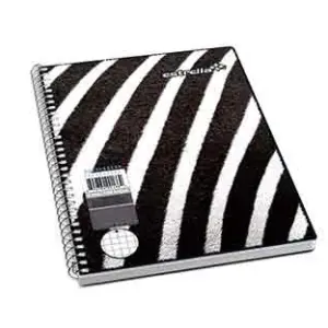 CUADERNO ESTRELLA FRANCESA ESPIRAL C5 100 HJS