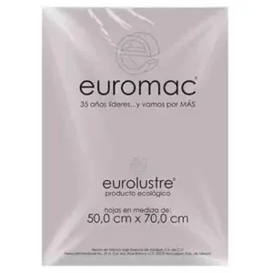Papel Lustre Euromac 50x70" Gris 25 Hojas