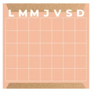 PLANEADOR MENSUAL ALFRA MIXTO CORAL  30X30 CM